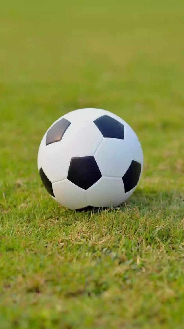 赛事数据研究者使用即时比分查询